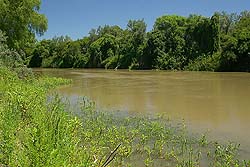 Vista del Río Paraná a su paso por este PN